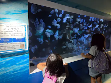 横浜・八景島シーパラダイスに投稿された画像（2026/8/13）