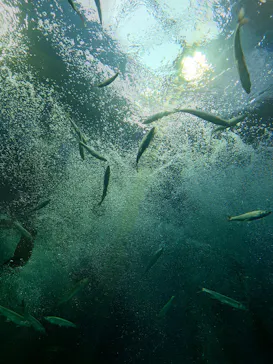 滋賀県立琵琶湖博物館に投稿された画像（2026/8/13）