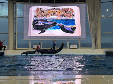 アクアワールド茨城県大洗水族館に投稿された画像（2026/8/13）