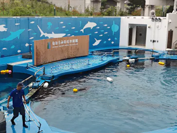 仙台うみの杜水族館に投稿された画像（2026/8/13）