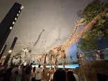 福井県立恐竜博物館に投稿された画像（2026/8/13）