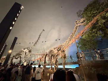 福井県立恐竜博物館に投稿された画像（2026/8/13）