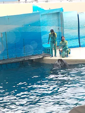 新江ノ島水族館に投稿された画像（2026/8/13）