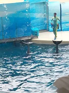 新江ノ島水族館に投稿された画像（2026/8/13）