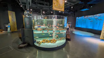 みやじマリン宮島水族館に投稿された画像（2026/8/13）