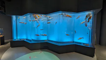 みやじマリン宮島水族館に投稿された画像（2026/8/13）