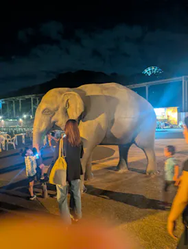 名古屋市東山動植物園に投稿された画像（2026/8/13）