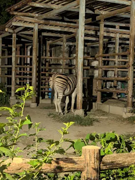 名古屋市東山動植物園に投稿された画像（2026/8/13）