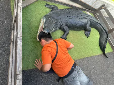 体感型動物園iZooに投稿された画像（2026/8/13）