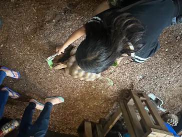 体感型動物園iZooに投稿された画像（2026/8/13）