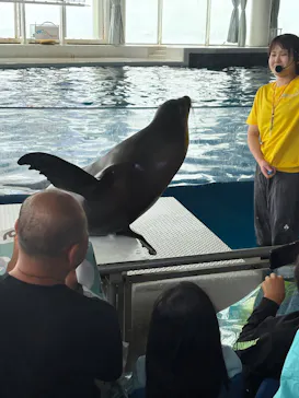 アクアワールド茨城県大洗水族館に投稿された画像（2026/8/13）