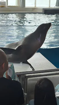アクアワールド茨城県大洗水族館に投稿された画像（2026/8/13）
