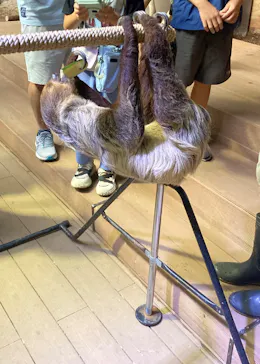 カワスイ 川崎⽔族館に投稿された画像（2026/8/13）