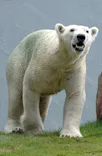 天王寺動物園に投稿された画像（2026/8/13）