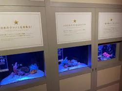 横浜開運水族館 フォーチュンアクアリウムに投稿された画像（2026/8/13）