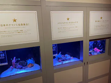 横浜開運水族館 フォーチュンアクアリウムに投稿された画像（2026/8/13）