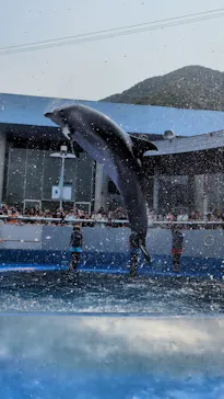 大分マリーンパレス水族館 「うみたまご」に投稿された画像（2026/8/13）