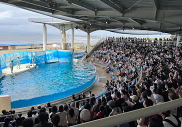 新江ノ島水族館に投稿された画像（2026/8/13）