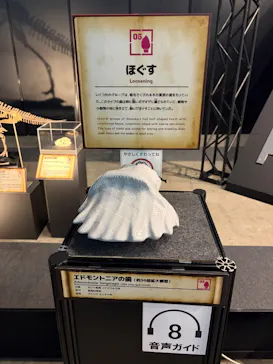 ヨコハマ恐竜展２０２６～恐竜の食卓大図鑑～に投稿された画像（2026/8/13）