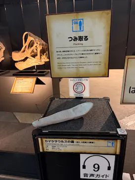 ヨコハマ恐竜展２０２６～恐竜の食卓大図鑑～に投稿された画像（2026/8/13）