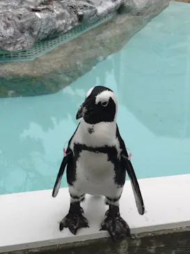 マリンワールド海の中道に投稿された画像（2026/8/13）