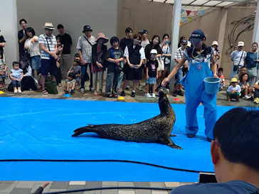 マリンワールド海の中道に投稿された画像（2026/8/13）