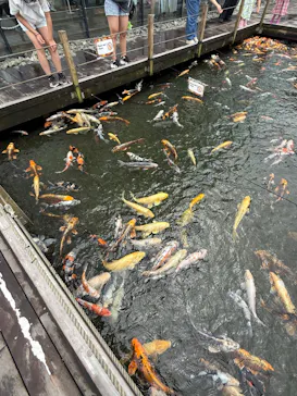 上越市立水族博物館 うみがたりに投稿された画像（2026/8/13）
