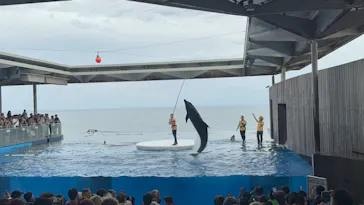 上越市立水族博物館 うみがたりに投稿された画像（2026/8/13）