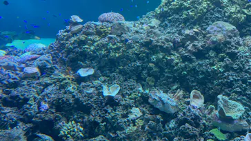 葛西臨海水族園に投稿された画像（2026/8/13）
