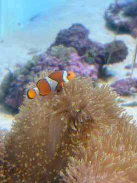 葛西臨海水族園に投稿された画像（2026/8/13）