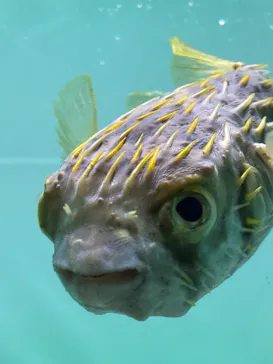 葛西臨海水族園に投稿された画像（2026/8/13）