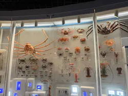 国立科学博物館に投稿された画像（2026/8/13）