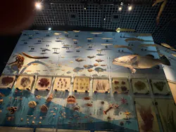 国立科学博物館に投稿された画像（2026/8/13）