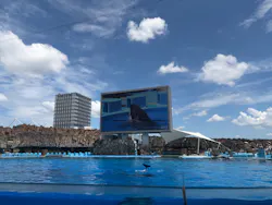 名古屋港水族館に投稿された画像（2026/8/13）