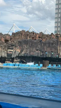 名古屋港水族館に投稿された画像（2026/8/13）