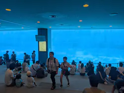 名古屋港水族館に投稿された画像（2026/8/13）