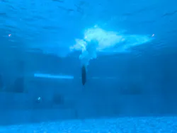 名古屋港水族館に投稿された画像（2026/8/13）