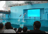 横浜・八景島シーパラダイスに投稿された画像（2026/8/14）