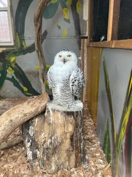 しろとり動物園に投稿された画像（2026/8/14）