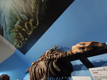 特別展　大絶滅展に投稿された画像（2026/8/14）