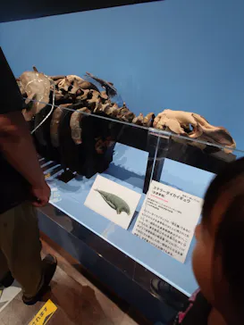 特別展　大絶滅展に投稿された画像（2026/8/14）