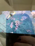 武藤潜水に投稿された画像（2026/8/14）