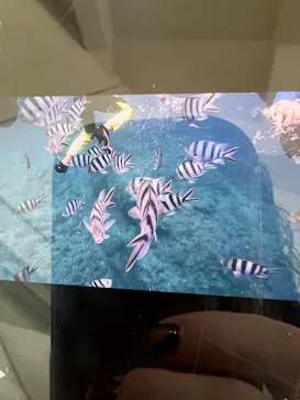 武藤潜水に投稿された画像（2026/8/14）