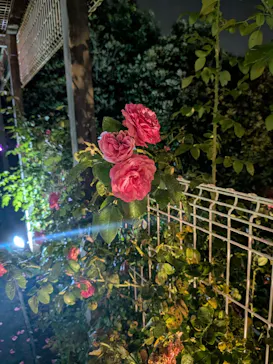せんだい農業園芸センター　みどりの杜に投稿された画像（2026/8/14）