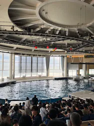 アクアワールド茨城県大洗水族館に投稿された画像（2026/8/14）