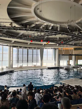 アクアワールド茨城県大洗水族館に投稿された画像（2026/8/14）