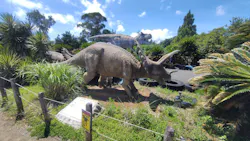 伊豆ぐらんぱる公園に投稿された画像（2026/8/14）