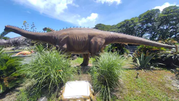 伊豆ぐらんぱる公園に投稿された画像（2026/8/14）