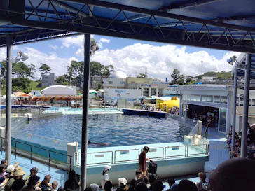越前松島水族館に投稿された画像（2026/8/14）