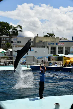 越前松島水族館に投稿された画像（2026/8/14）